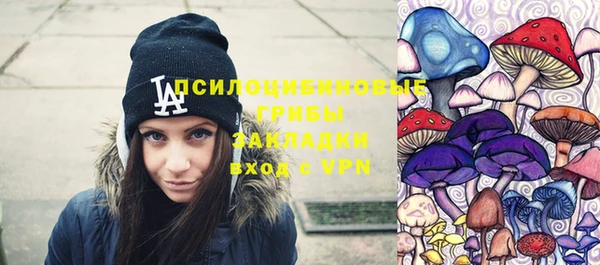метадон Арсеньев