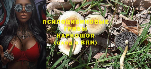 дживик Армянск